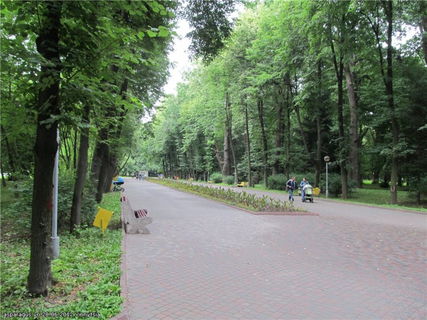 Фото достопримечательностей Других достопримечательностей Украины: Аллея в Винницком парке им. Горького