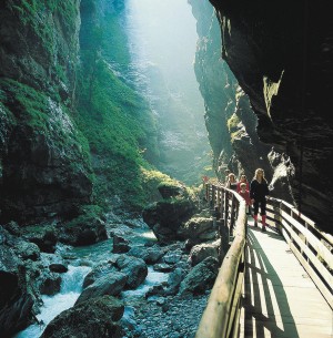 Ущелье Liechtensteinklamm - уникальный природный заповедник (Австрия)