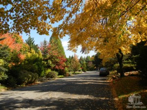 На площади примерно в 7 гектар произрастают более 10 тысяч видов растений.