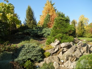 Насыпи из камней - воссоздание природной среды и элемент ландшафтного дизайна