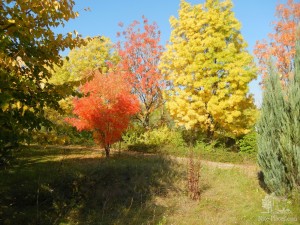 Осенняя пора - очей очарованье (Словакия)