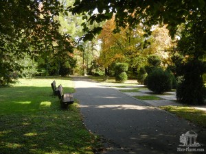 Одна из аллей ботанического сада (Словакия)