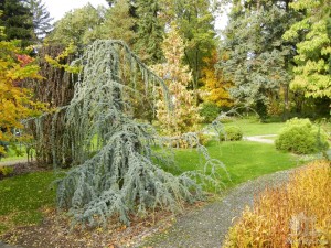 Причудливые формы создают удивительные пейзажи (Словакия)