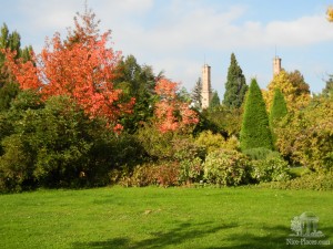 В ботаническом саду Братиславы  (Словакия)