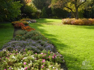 Клумба с однолетними цветами (Словакия)