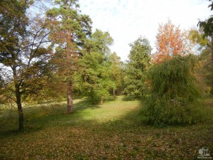 Почти нетронутый человеком Валтицкий Замковый парк (Чехия)