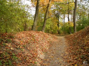 Замковый парк Валтиц (Чехия)