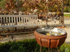 В Саде трав есть очень живописные места (Чехия)