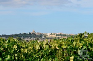 Виноделие на Майорке развивается несколько тысяч лет