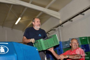 Родственники, друзья и просто знакомые приезжают помочь Мигелю собрать его урожай (Остров Майорка)