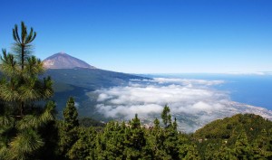 Каждый год парк Тейде посещают около трех миллионов посетителей, что дает ему статус самого посещаемого природного парка в Испании