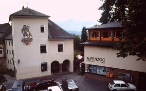 Альпийский зоопарк в Инсбруке - самый высокогорный в Европе (Австрия)