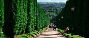 Кипарисовая аллея в Курортном парке Кисловодска (Кавказ и Черноморское побережье)