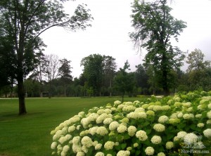 Парк замка Геделле (Венгрия)