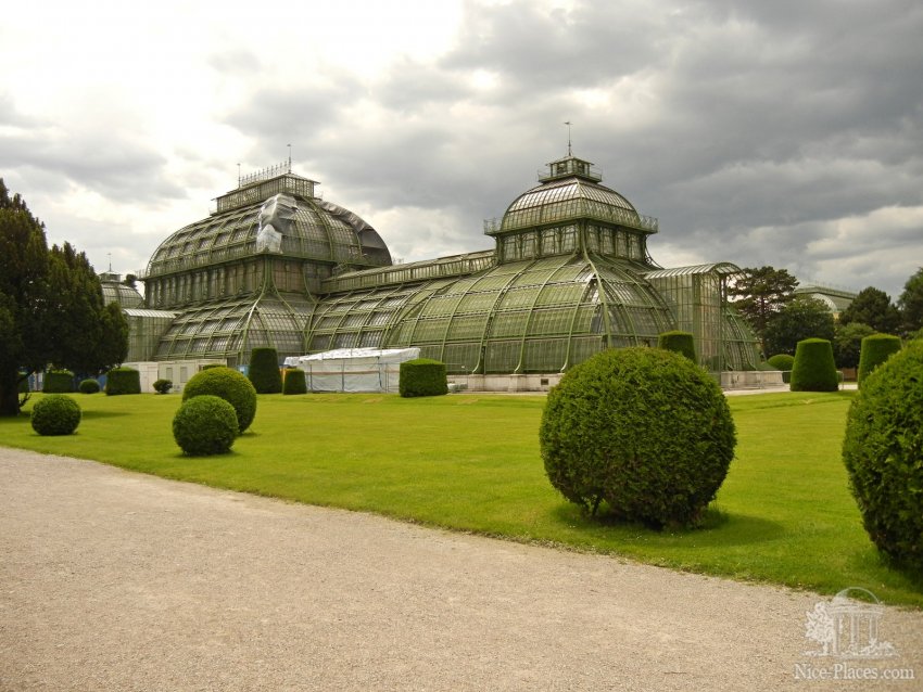 Фото достопримечательностей Вены: Пальмовая оранжерея в Шенбрунне