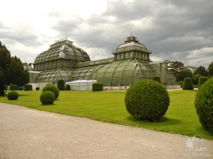 Пальмовая оранжерея в Шенбрунне (Вена)