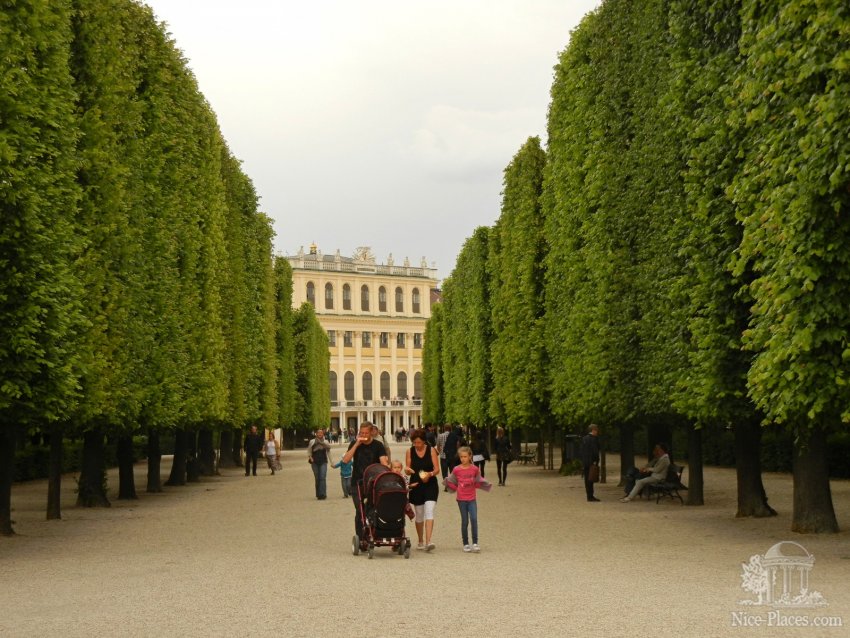 Фото достопримечательностей Вены: Одна из многочисленных аллей в парке Шенбрунн
