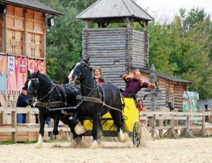 В парке проводятся чемпионаты по древним видам спорта (Киев и область)