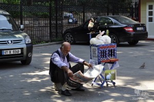 Стамбул, фотографирование с кроликами и петухом (Турция)