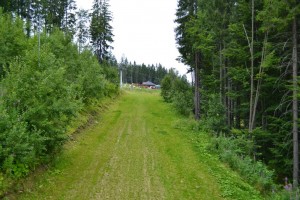 Так выглядит буковельская горнолыжная трасса летом (Карпаты и Закарпатье)