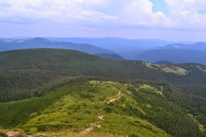 Дорога на Говерлу (Карпаты и Закарпатье)