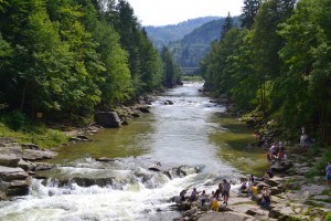 Дикая природа в Яремче (Карпаты и Закарпатье)