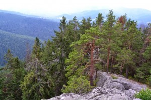 Природа на горе Горган (Карпаты и Закарпатье)