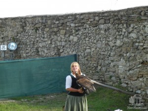 Шоу с хищными птицами в замке Стара Любовня (Словакия)