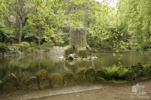 В ботаническом саду Синтры (Португалия)