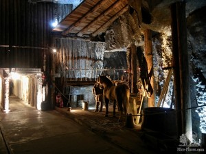 В камере короля Казимира (Польша)