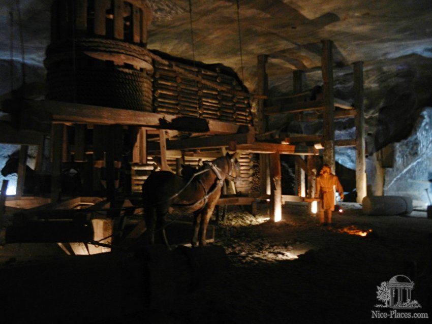 Фото достопримечательностей Польши: Подлинный механизм, предназначавшийся для вертикальной транспортировки соляных глыб, весом до 2 тонн. Приводился в движение четырьмя лошадьми