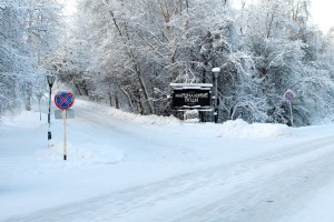Табличка-указатель в заснеженном лесу (Карелия)