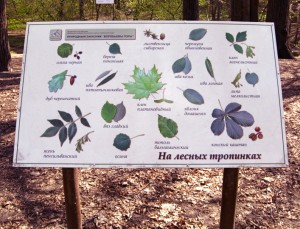 Информационная таблица в лесу (Москва и Подмосковье)