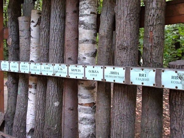 Фото достопримечательностей Москвы и Подмосковья: Образцы стволов разных деревьев