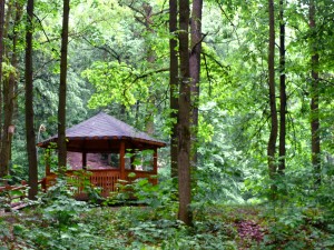 Уютная беседка в заказнике Воробьевы горы