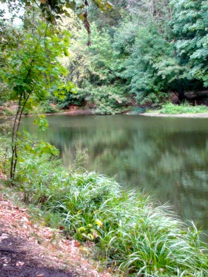 Красота весны на Воробьевых горах (Москва и Подмосковье)