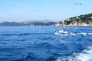 Берег моря между Ллорет-де-Мар и Тосса-де-Мар