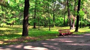 В Московском ботаническом саду