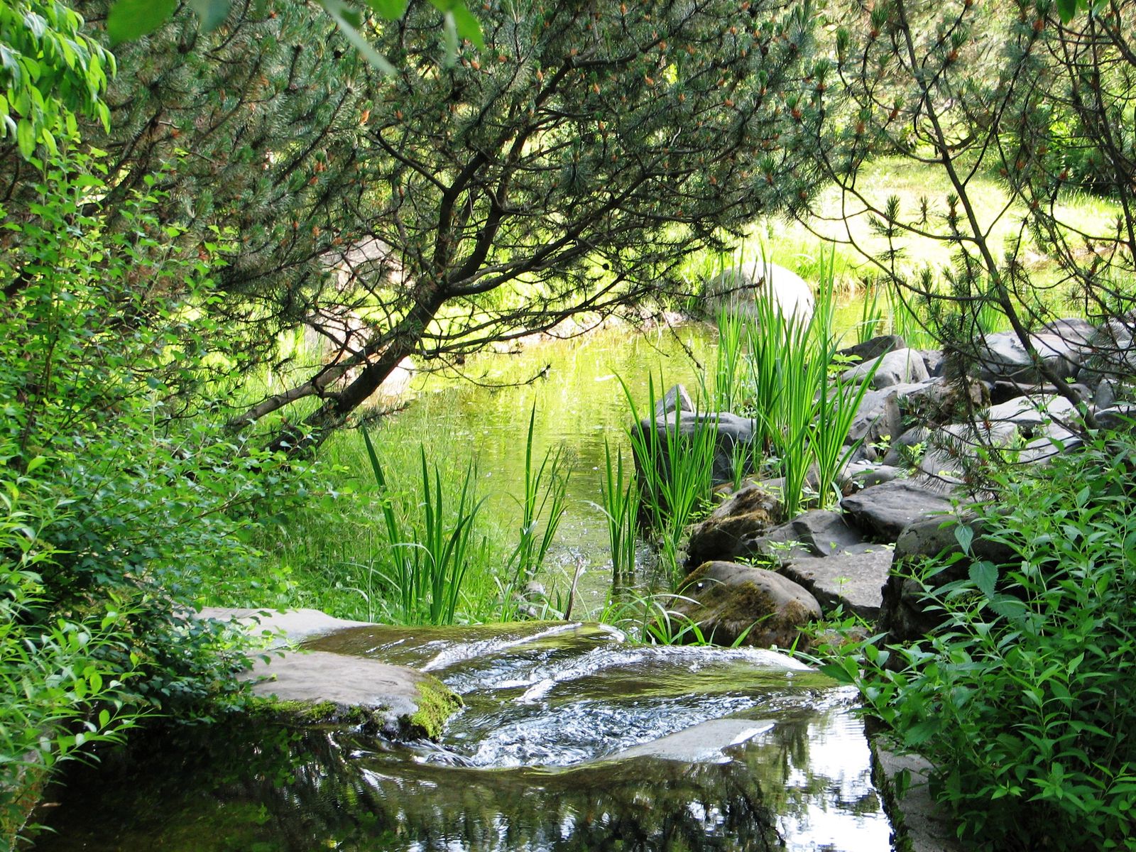 Фото достопримечательностей Москвы и Подмосковья: Красивый уголок в ботсаду