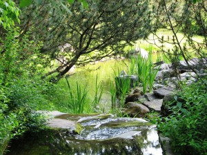 Красивый уголок в ботсаду (Москва и Подмосковье)