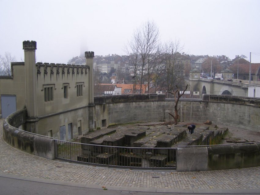 Фото достопримечательностей Швейцарии: Берн, медвежья яма Беренграбен &mdash; место, где обитают настоящие медведи