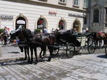 Вена. Фиакры (Вена)