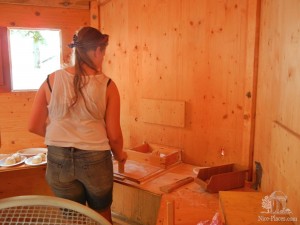 На самом деле автомата нет, внутри работают продавцы ) (Австрия)