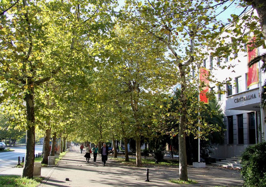 Фото достопримечательностей Черногории: Одна из улиц Подгорицы