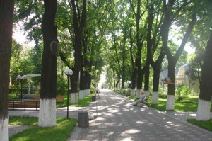 В тиши аллей (Одесса и область)