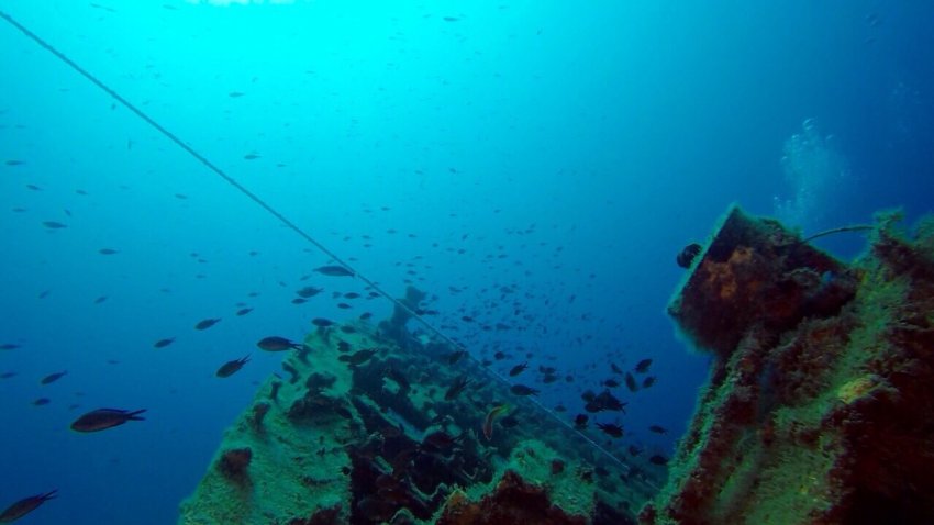 Фото достопримечательностей Таиланда: Ко Тао &mdash; рай для дайвера