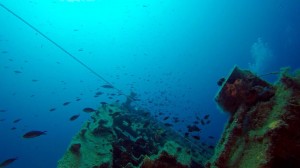 Ко Тао - рай для дайвера (Тайланд)