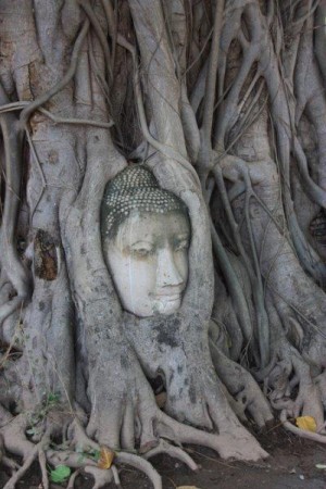 Старая столица Таиланда, Аюттхая (Тайланд)