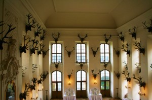 Глядя на этот зал, увешанный рогами, понимаешь, что замок принадлежал страстному любителю охоты (Германия)