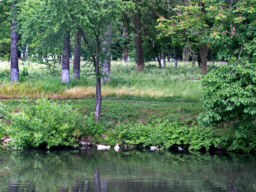 Фото достопримечательностей Карпат и Закарпатья: Лебединое озеро, с. Чертория